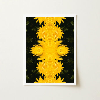 Tweedledum - Chrysanthemum Op Art Print / Canvas Vibrant Yellow Floral Symmetrical Kaleidoscopic Design Avant-garde, Golden Blooms