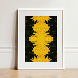 Tweedledum - Chrysanthemum Op Art Print / Canvas Framed Art Print Symmetrical Kaleidoscopic Pattern Vibrant Yellow Avant-garde