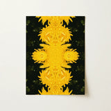 Tweedledum - Chrysanthemum Op Art Print / Canvas Vibrant Yellow Chrysanthemum Flowers Arranged Symmetrical Kaleidoscopic Pattern