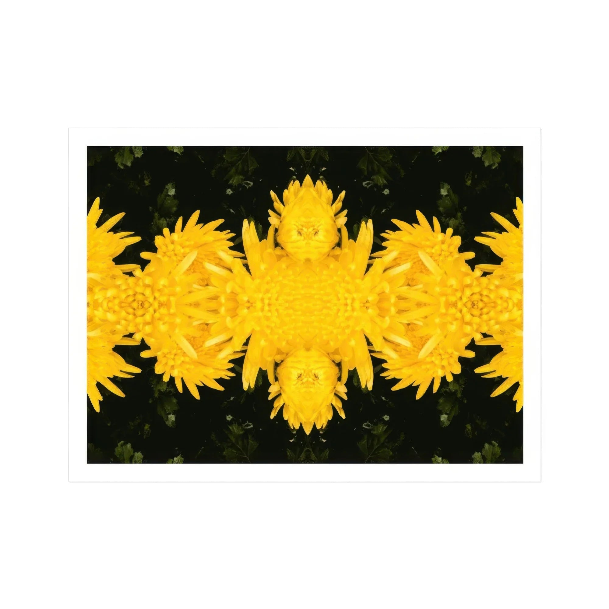 Tweedledum - Chrysanthemum Op Art Print, Kaleidoscopic Pattern Bright Yellow Dandelion Flowers Arranged Symmetrically