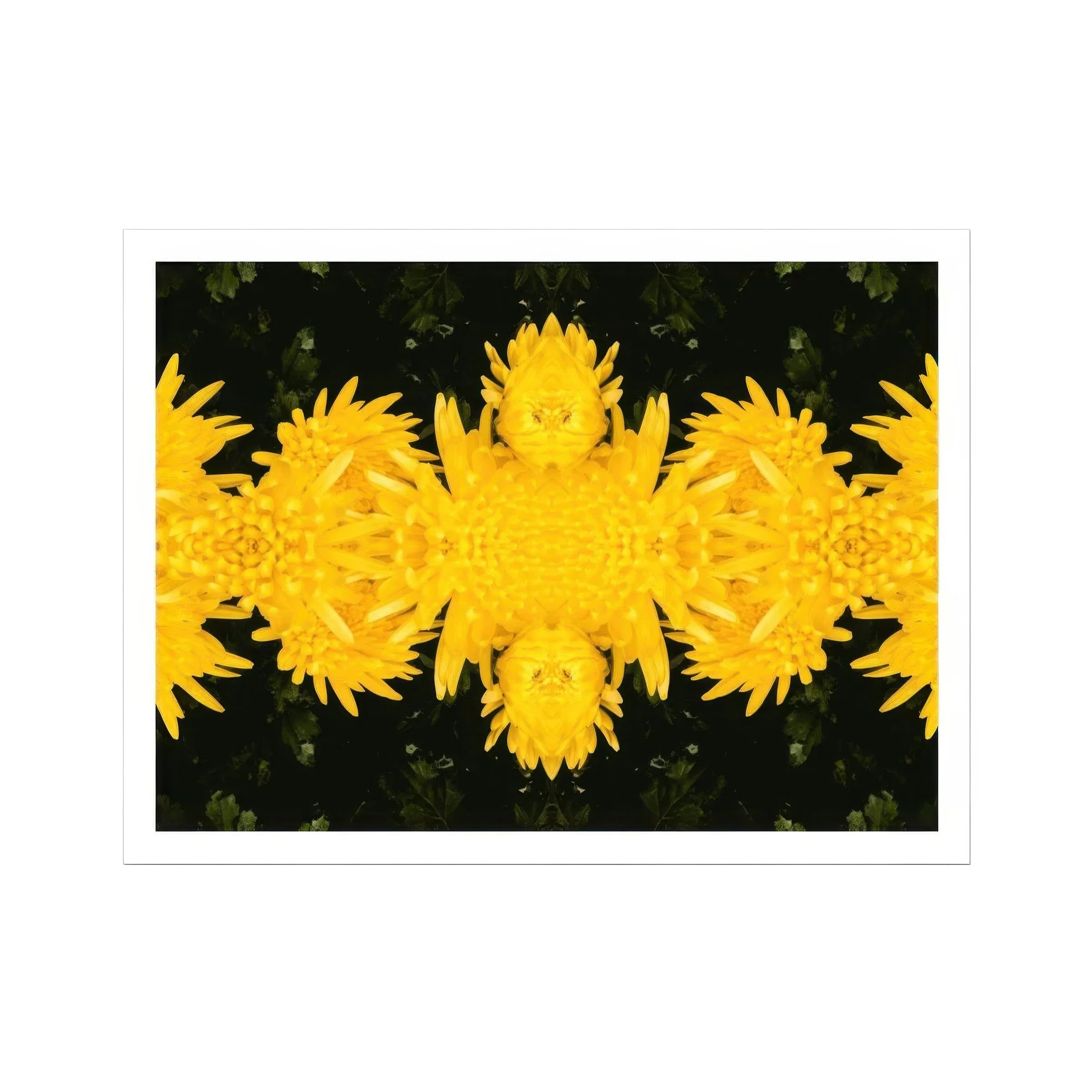 Tweedledum - Chrysanthemum Op Art Print