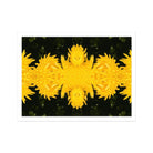 Tweedledum - Chrysanthemum Op Art Print Posters Prints & Visual Artwork