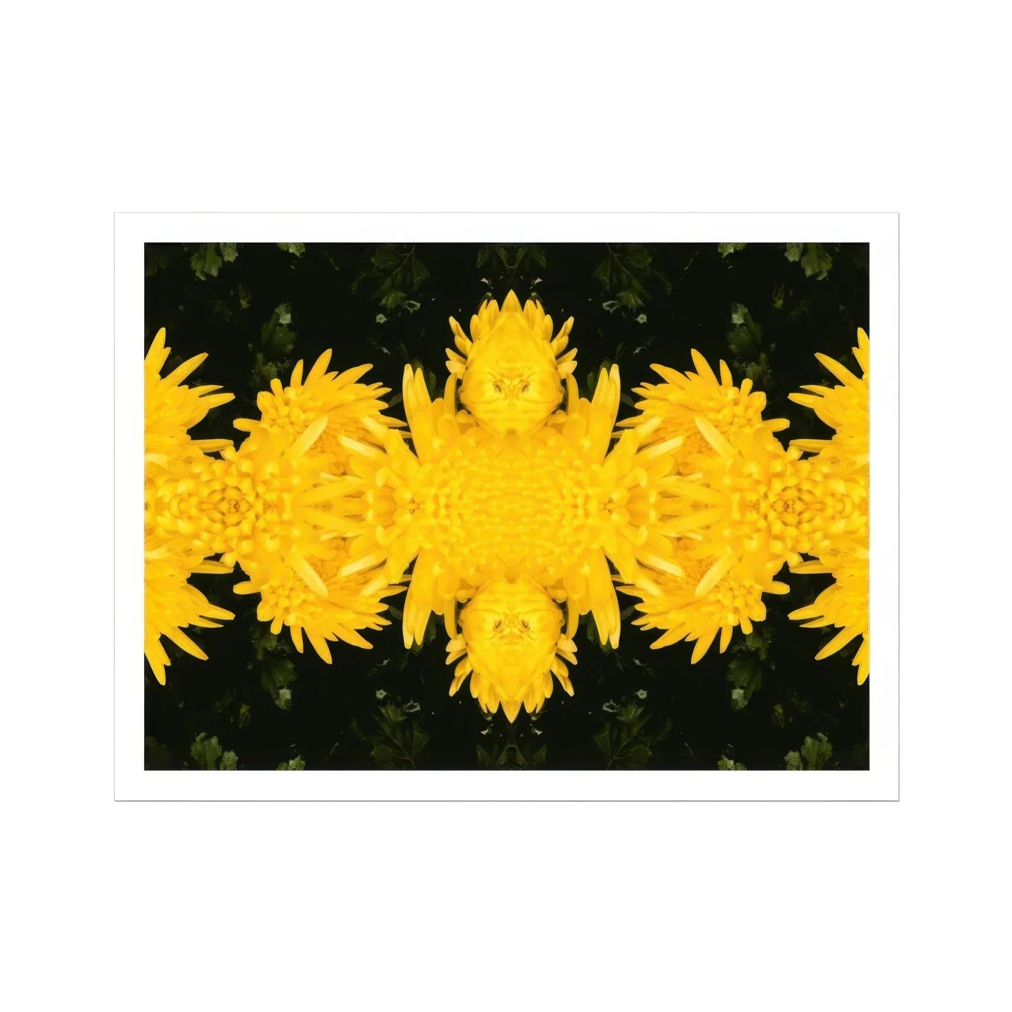 Tweedledum - Chrysanthemum Op Art Print Posters Prints & Visual Artwork