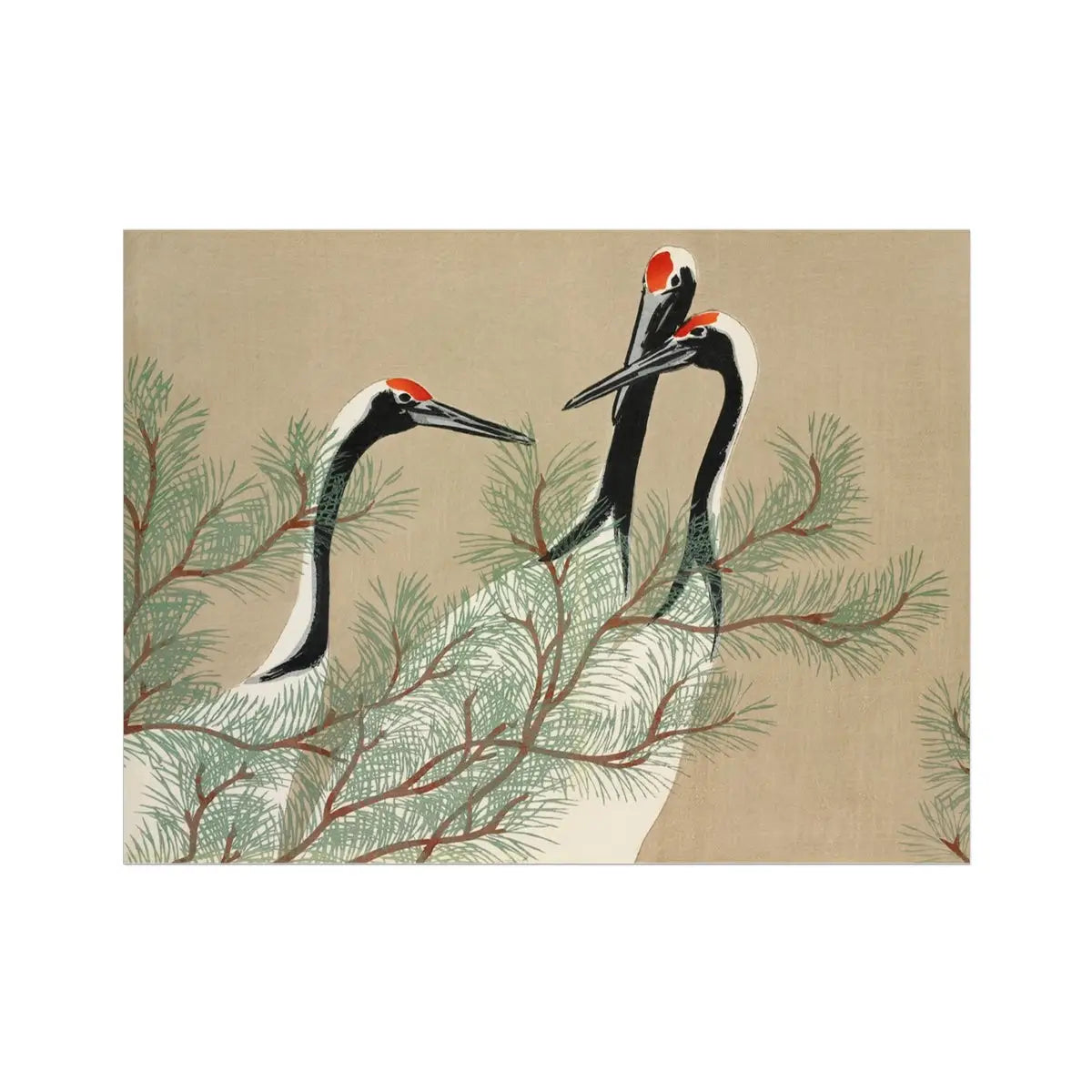 Cranes from Momoyogusa - Kamisaka Sekka Art Print 40’’x30’’ Posters Prints & Visual Artwork