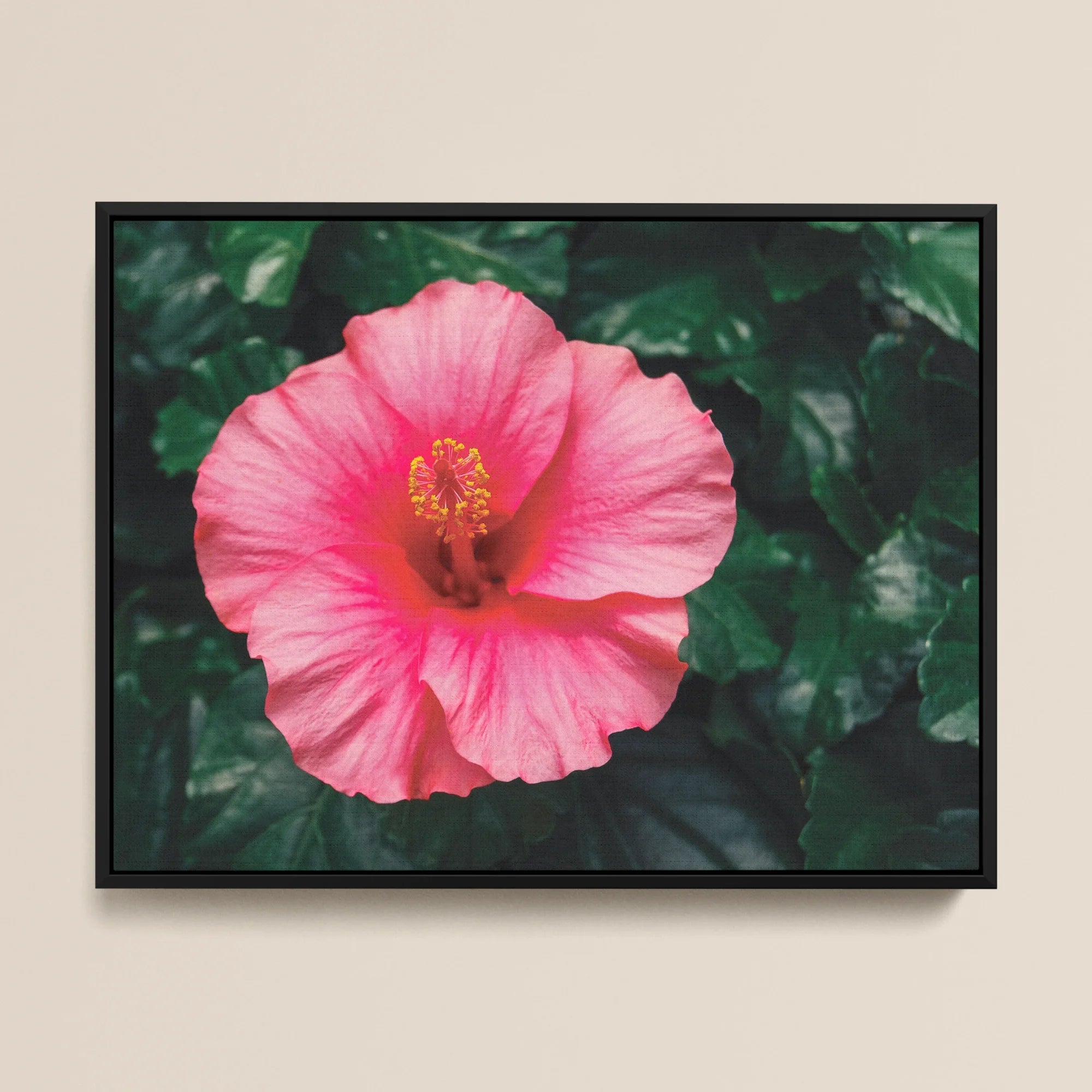 Tropicanarama too - Pink Hibiscus Framed Canvas Posters Prints & Visual Artwork