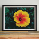 Tropicanarama - Tropical Hibiscus Art Print Posters Prints & Visual Artwork