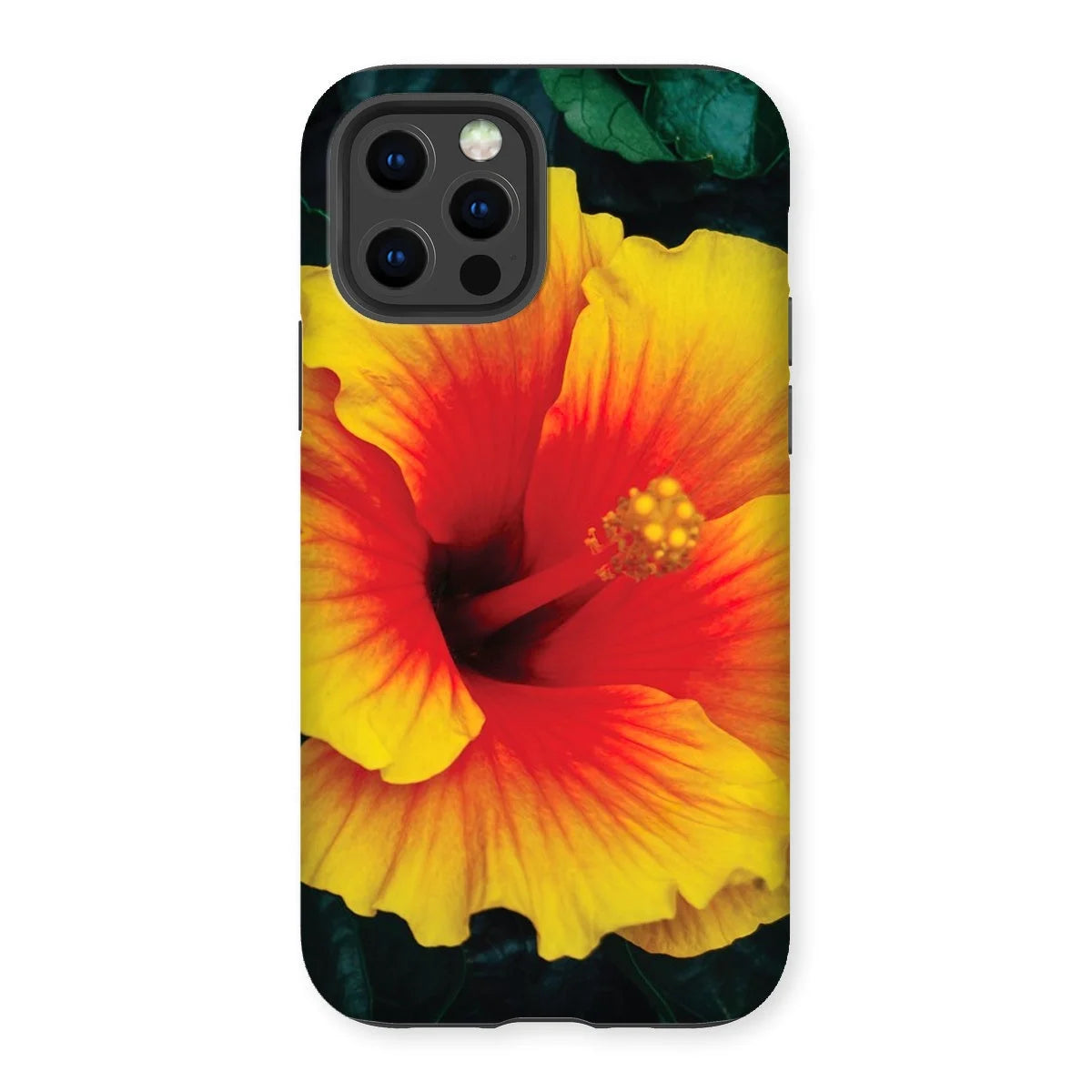 Tropicanarama - Tropical Hibiscus Iphone Case 12 Pro / Matte Mobile Phone Cases