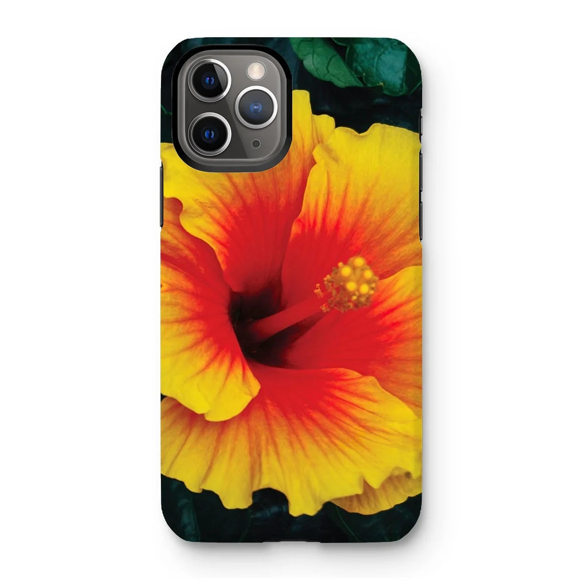 Tropicanarama - Tropical Hibiscus Iphone Case 11 Pro / Matte Mobile Phone Cases