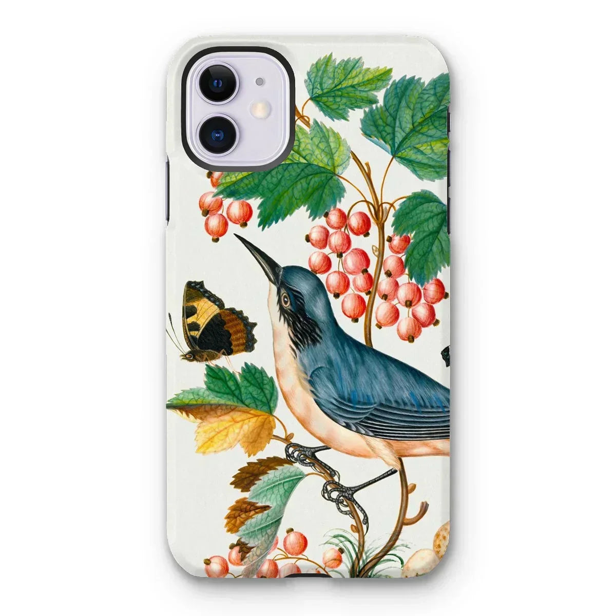 Warbler Admiral Wasps & Ants - James Bolton Iphone Case, 11 / Matte, Iphone Case Vintage Botanical Illustration Bird Butterfly Berries