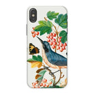 Warbler Admiral Wasps & Ants - James Bolton Iphone Case, x / Matte, Phone Case Colorful Botanical Bird Illustration