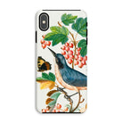 Warbler Admiral Wasps & Ants - James Bolton Iphone Case, Xs Max / Matte, Phone Case Vintage-style Botanical Illustration Bird Berries