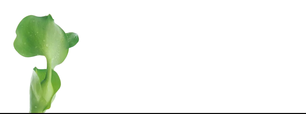 Green water hyacinth showcasing botanical op art in framed abstract artwork style