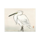 Snowy Egret - Kōno Bairei Meiji Era Kacho-e Art Print 40’’x30’’ Posters Prints & Visual Artwork