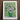Framed Reproduction Vincent Van Gogh’s ?White Roses Green, Floral Art Print