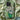 White Roses - Vincent Van Gogh Phone Case, Cradle Post-impressionist Brilliance, Blooming Masterpiece