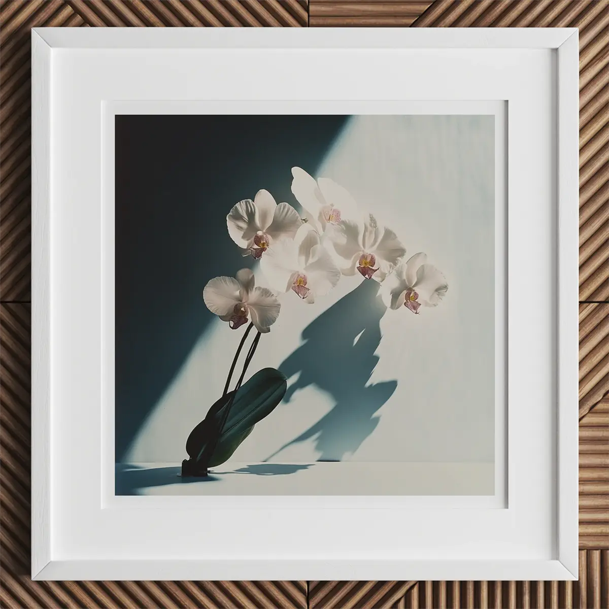 Framed orchid floral art symbolizing queer communities and Oscar Wilde in LGBTQ+ floriography