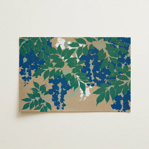 Wisteria from Momoyogusa - Kamisaka Sekka Art Print / Canvas, Kamisaka Sekka, Sekka’s Wisteria, Momoyogusa Print