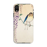 Wisteria and Swallow - Ohara Koson Iphone Case, Xr / Matte, Phone Case Delicate Illustration Bird Perched Branch Wisteria