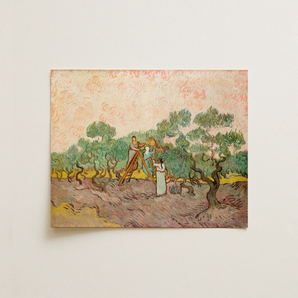 Women Picking Olives - Vincent Van Gogh Art Print / Canvas, Vincent Van Gogh, Women Picking Olives, Van Gogh’s Tumultuous Psyche