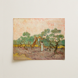 Women Picking Olives - Vincent Van Gogh Art Print / Canvas Reproduction Vincent Gogh’s ?The Olive Grove” Brushstrokes Gogh, Women Picking O