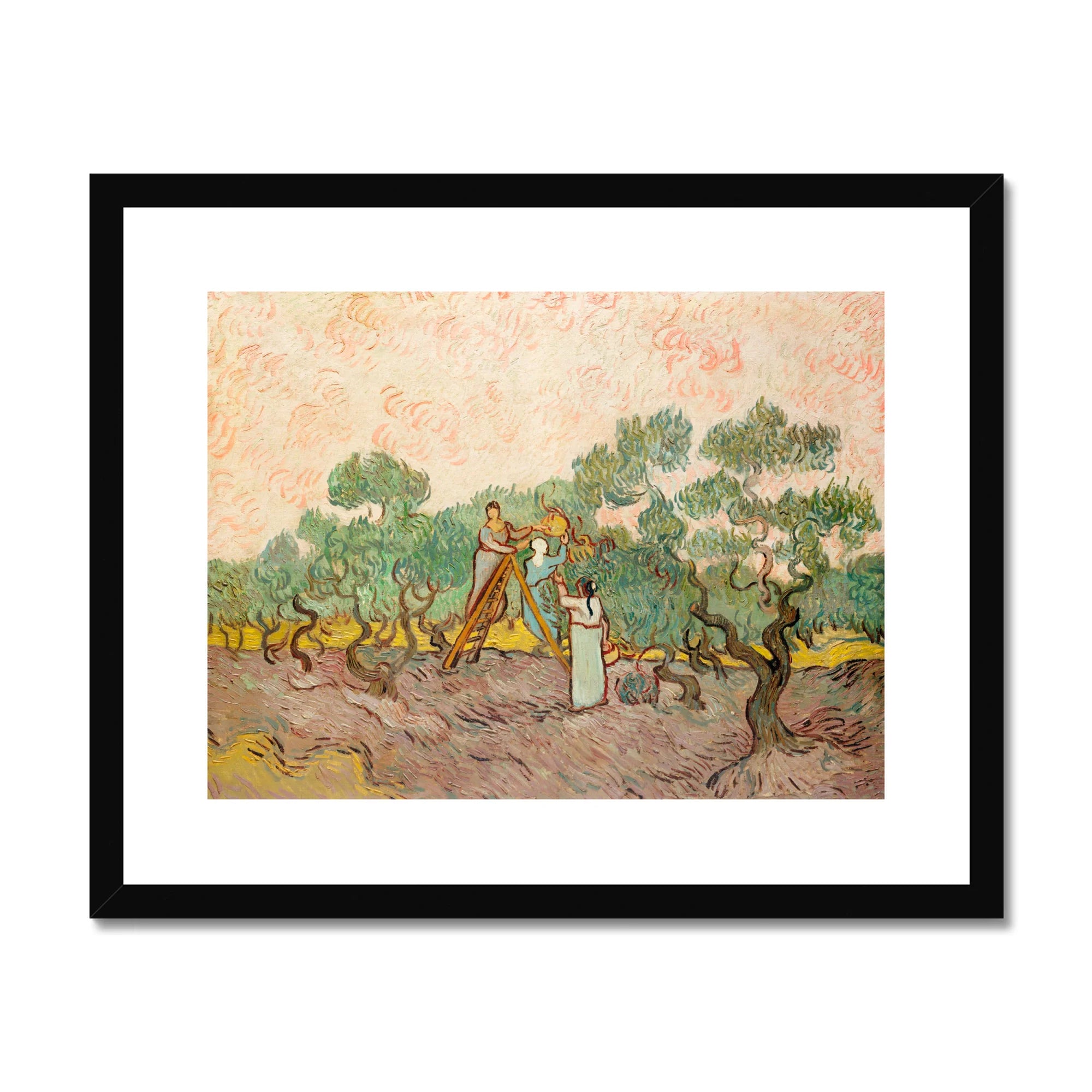 Women Picking Olives - Vincent Van Gogh Art Print, Framed Gogh Olive Grove Painting