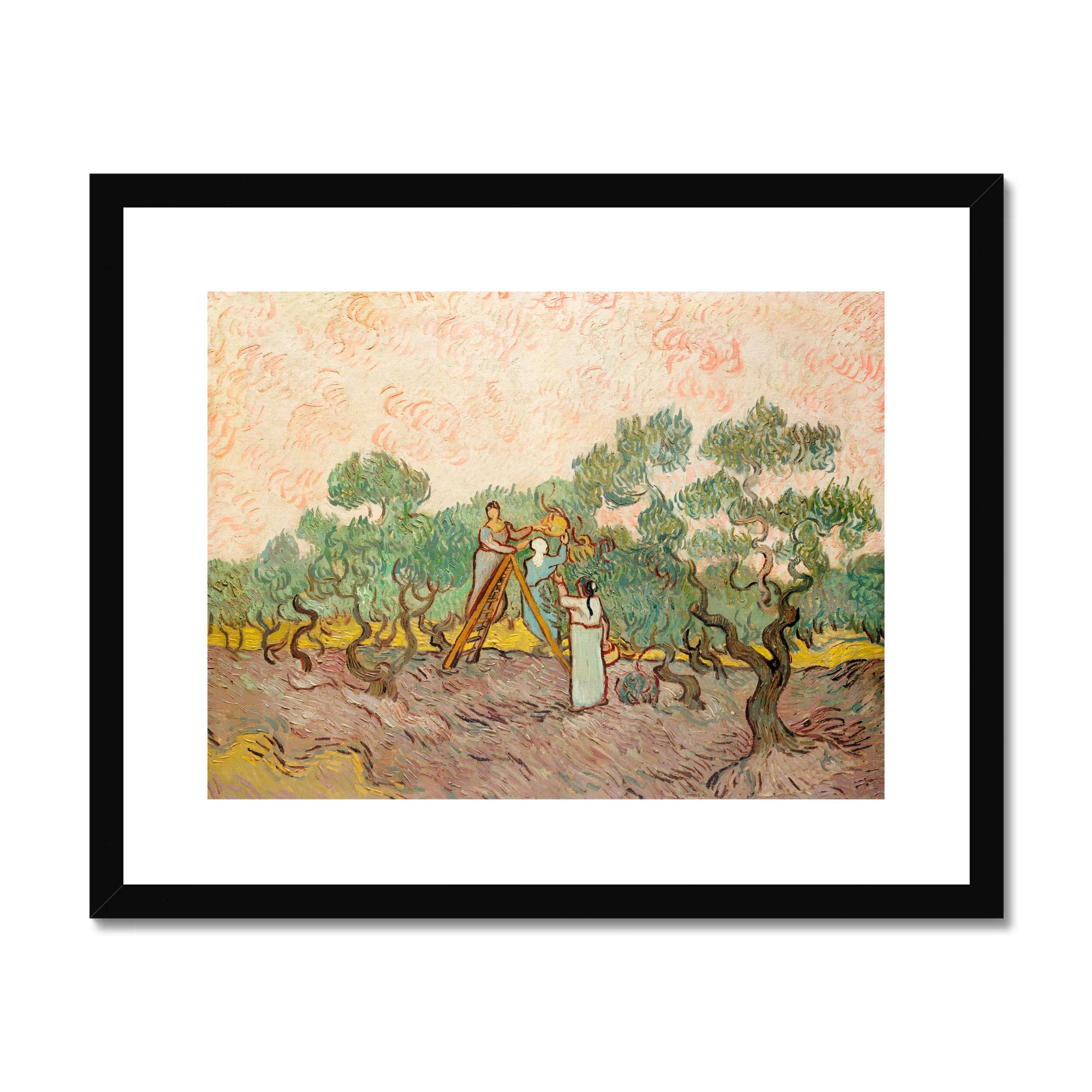 Women Picking Olives - Vincent Van Gogh Art Print