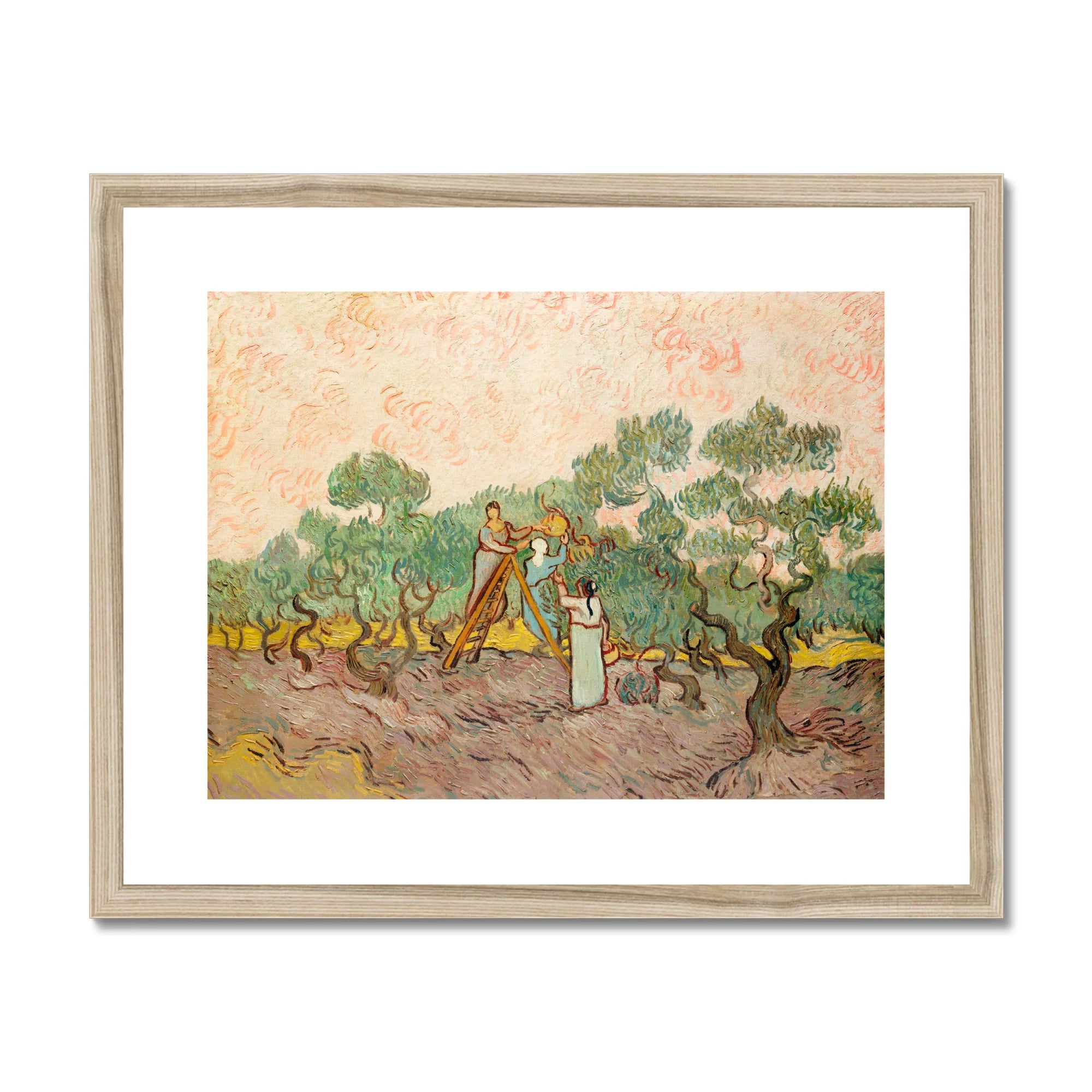 Women Picking Olives - Vincent Van Gogh Art Print, Framed Gogh Painting