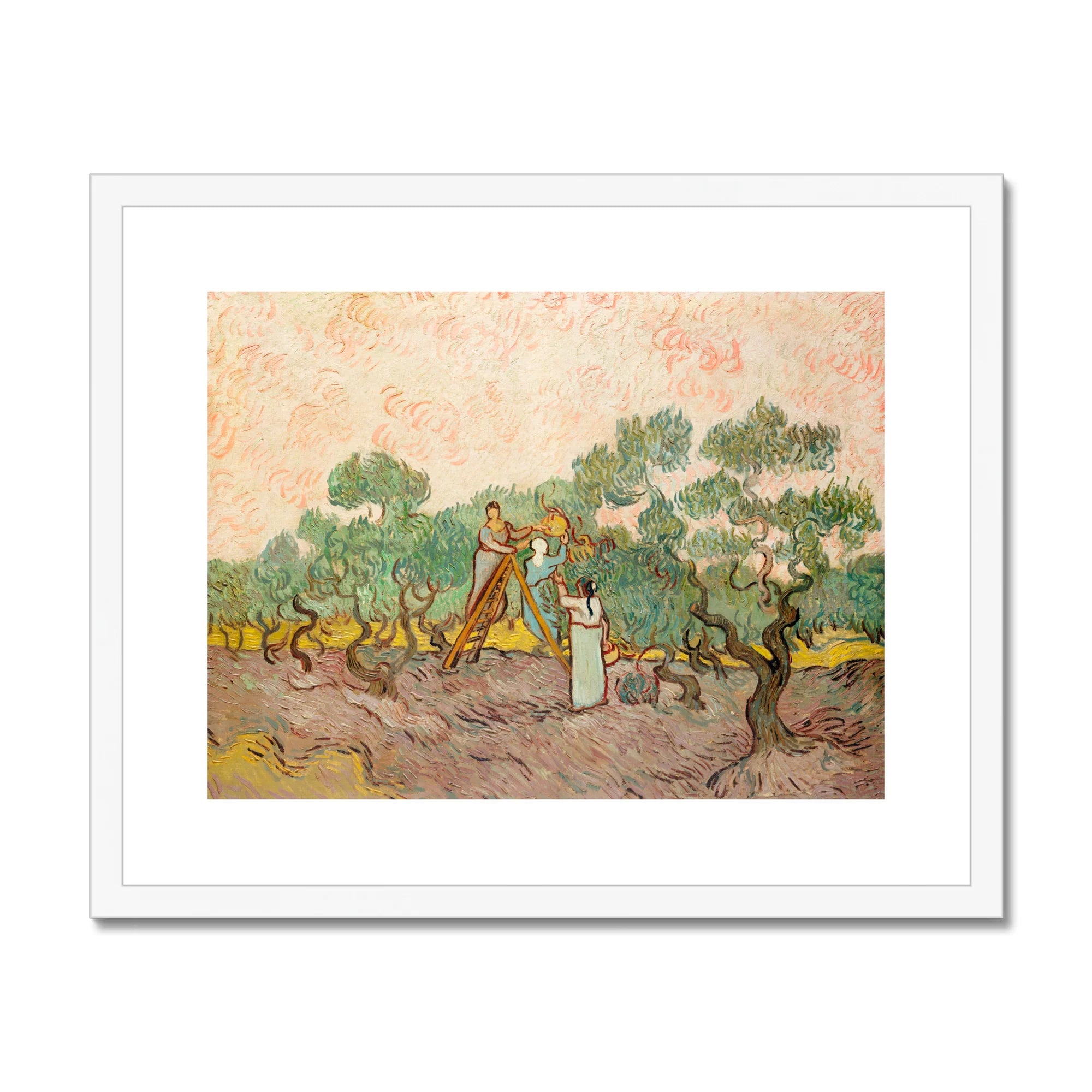 Women Picking Olives - Vincent Van Gogh Art Print, Framed Gogh Painting Olive Pickers