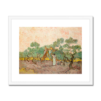 Women Picking Olives - Vincent Van Gogh Art Print, Framed Gogh Painting Olive Pickers