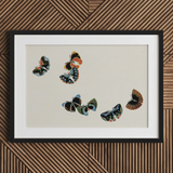 Woodblock Butterflies - Kamisaka Sekka Art Print / Canvas, 30x20’’ / 76x51cm / Black Frame / Matboard, Posters Prints & Visual Artwork,
