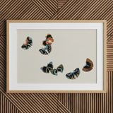 Woodblock Butterflies - Kamisaka Sekka Art Print / Canvas, 30x20’’ / 76x51cm / Natural Frame / Matboard, Posters Prints & Visual Artwork,