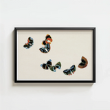Black-framed Artwork Collection Colorful Stylized Butterflies Off-white Background Kamisaka Sekka, Sekka’s Woodblock, Meiji