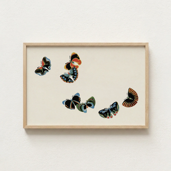 Framed Artwork Six Colorful Stylized Butterflies Intricate Patterns Kamisaka Sekka, Sekka’s Woodblock, Meiji