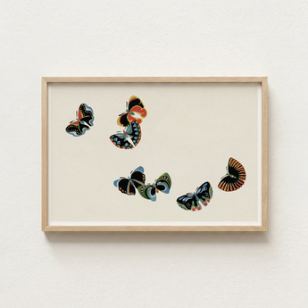 Rectangular Wooden-framed Artwork Collection Colorful Stylized Butterflies Off-white Kamisaka Sekka, Sekka’s Woodblock, Meiji