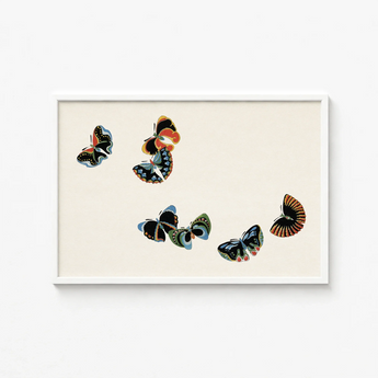 Framed Artwork Five Stylized Butterflies Intricate Patterns Black Kamisaka Sekka, Sekka’s Woodblock, Meiji