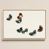 Woodblock Butterflies - Kamisaka Sekka Art Print / Canvas, 18x12’’ / 46x31cm / Natural Frame, Posters Prints & Visual Artwork, Toby Leon