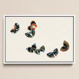 Woodblock Butterflies - Kamisaka Sekka Art Print / Canvas, 18x12’’ / 46x31cm / White Frame, Posters Prints & Visual Artwork, Toby Leon