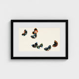 Woodblock Butterflies - Kamisaka Sekka Art Print / Canvas Black-framed Artwork Cream-colored Background Five Intricately Illustrated,