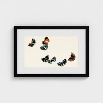 Woodblock Butterflies - Kamisaka Sekka Art Print / Canvas Black-framed Artwork Cream-colored Background Five Intricately Illustrated,