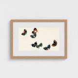Woodblock Butterflies - Kamisaka Sekka Art Print / Canvas Framed Artwork Collection Colorful Intricately Patterned Off-white, Sekka’s,