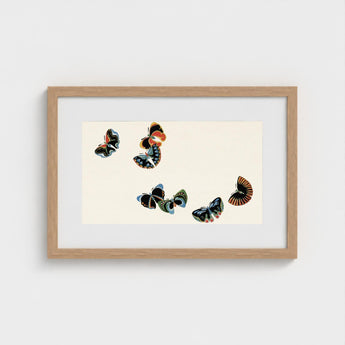 Woodblock Butterflies - Kamisaka Sekka Art Print / Canvas Framed Artwork Collection Colorful Intricately Patterned Off-white, Sekka’s,
