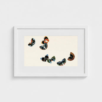 Woodblock Butterflies - Kamisaka Sekka Art Print / Canvas Framed Artwork Collection Colorful Intricately Detailed Off-white, Sekka’s, Meiji