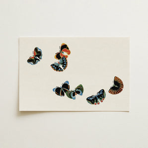 Woodblock Butterflies - Kamisaka Sekka Art Print / Canvas, 18x12’’ / 46x31cm / Unframed / no Border, Posters Prints & Visual Artwork, Toby