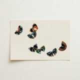 Woodblock Butterflies - Kamisaka Sekka Art Print / Canvas, 18x12’’ / 46x31cm / Unframed / no Border, Posters Prints & Visual Artwork, Toby