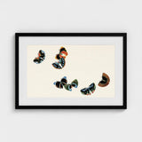 Woodblock Butterflies - Kamisaka Sekka Art Print / Canvas Black-framed Artwork Collection Stylized Vibrant Colors Orange, Sekka’s, Meiji