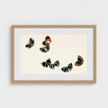 Woodblock Butterflies - Kamisaka Sekka Art Print / Canvas Framed Artwork Five Stylized Vibrant Colors Black, Sekka’s, Meiji Prints