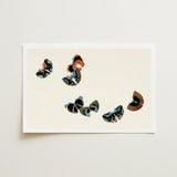 Woodblock Butterflies - Kamisaka Sekka Art Print / Canvas Rectangular Five Stylized Black Orange, Sekka’s, Meiji Prints