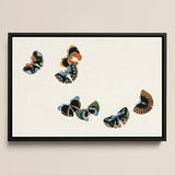 Woodblock Butterflies - Kamisaka Sekka Art Print / Canvas Framed Artwork Five Colorful Stylized Butterflies Black Wings Kamisaka Sekka,
