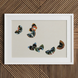 Woodblock Butterflies - Kamisaka Sekka Art Print / Canvas Framed Artwork Five Intricately Illustrated Butterflies Vibrant Hues Kamisaka