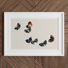 Woodblock Butterflies - Kamisaka Sekka Art Print